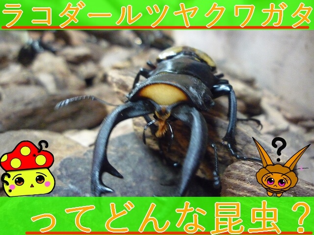 Thumbnail of post image 103